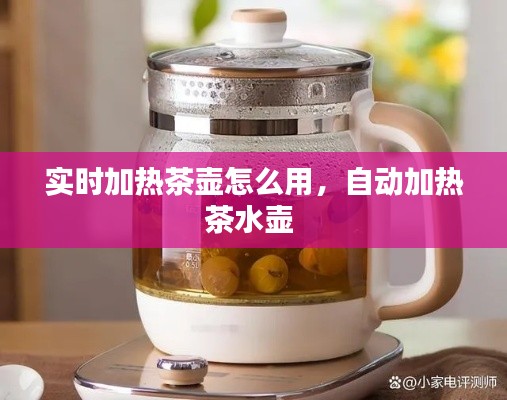 实时加热茶壶怎么用，自动加热茶水壶 