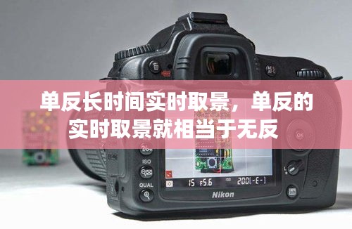 风韵犹存 第3页