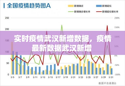 实时疫情武汉新增数据，疫情最新数据武汉新增 