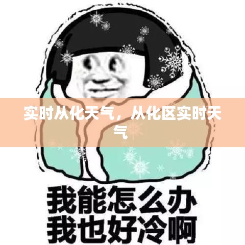 实时从化天气，从化区实时天气 