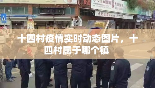 十四村疫情实时动态图片，十四村属于哪个镇 