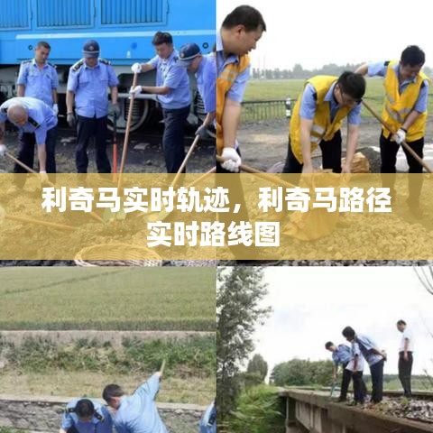利奇马实时轨迹，利奇马路径实时路线图 