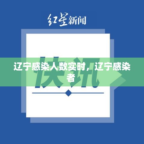 辽宁感染人数实时，辽宁感染者 