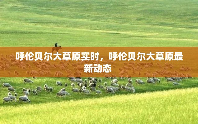 呼伦贝尔大草原实时，呼伦贝尔大草原最新动态 