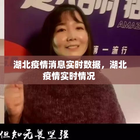 湖北疫情消息实时数据，湖北疫情实时情况 
