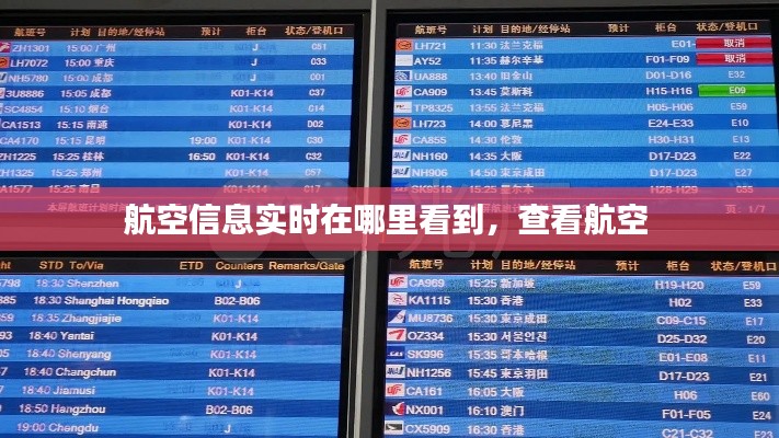 航空信息实时在哪里看到，查看航空 