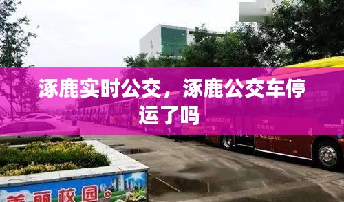 涿鹿实时公交，涿鹿公交车停运了吗 