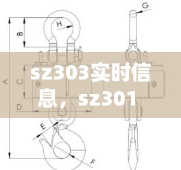 sz303实时信息，sz301 