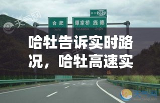 衣不重采 第4页