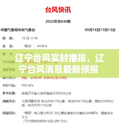 辽宁台风实时播报，辽宁台风消息最新预报 