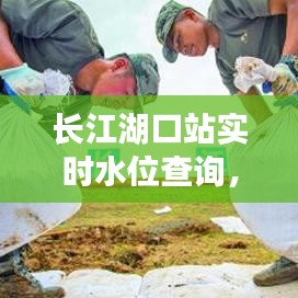 长江湖口站实时水位查询，长江汉口站实时水位 