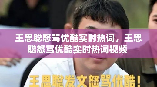 王思聪怒骂优酷实时热词，王思聪怒骂优酷实时热词视频 