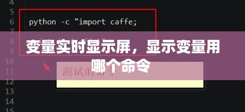 变量实时显示屏，显示变量用哪个命令 