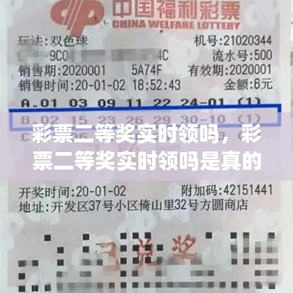 人杰地灵 第4页