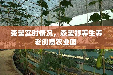 森馨实时情况，森馨舒养生养老创意农业园 