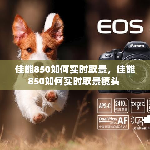 佳能850如何实时取景，佳能850如何实时取景镜头 