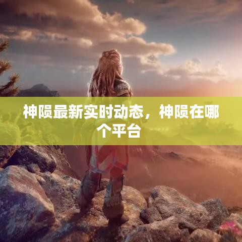 神陨最新实时动态，神陨在哪个平台 
