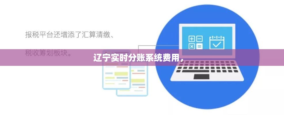 辽宁实时分账系统费用， 