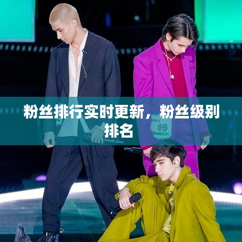 粉丝排行实时更新，粉丝级别排名 