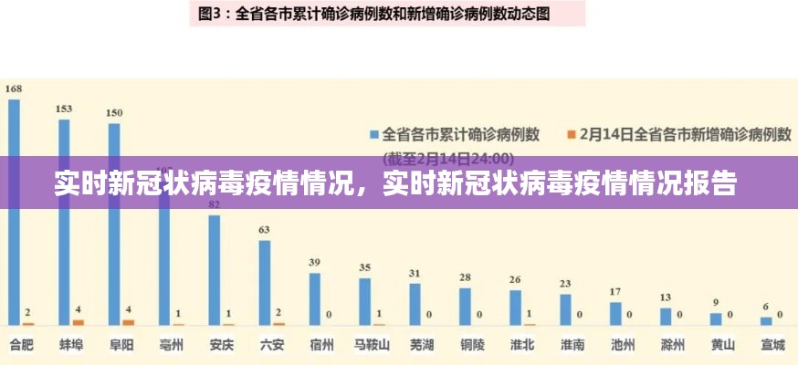 实时新冠状病毒疫情情况，实时新冠状病毒疫情情况报告 