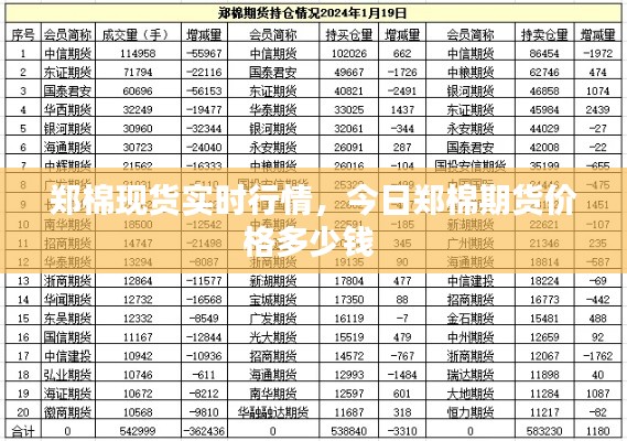 郑棉现货实时行情，今日郑棉期货价格多少钱 