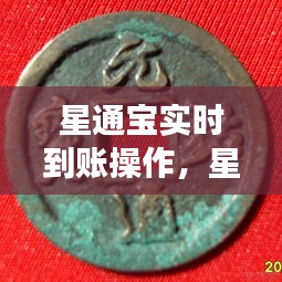 星通宝实时到账操作，星通宝怎么样安全吗 