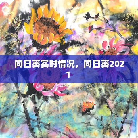 向日葵实时情况，向日葵2021 