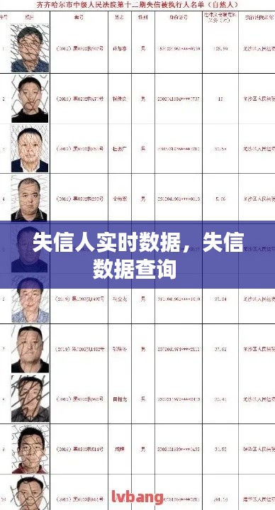 失信人实时数据，失信数据查询 