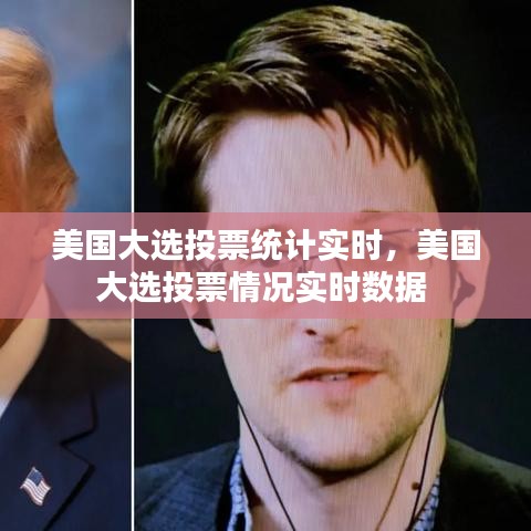 美国大选投票统计实时，美国大选投票情况实时数据 
