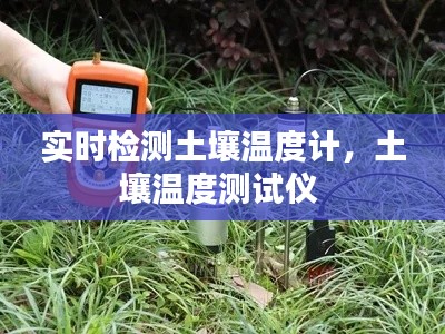 实时检测土壤温度计，土壤温度测试仪 