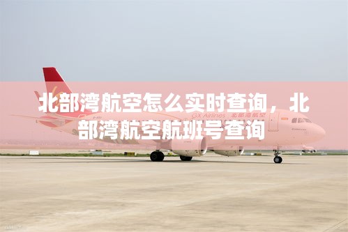 北部湾航空怎么实时查询，北部湾航空航班号查询 