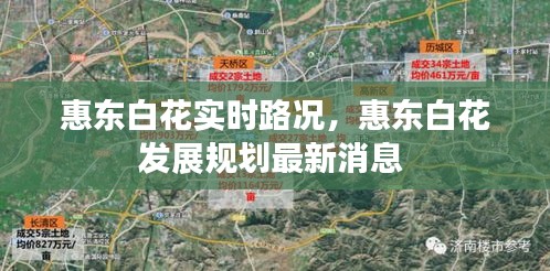 惠东白花实时路况，惠东白花发展规划最新消息 