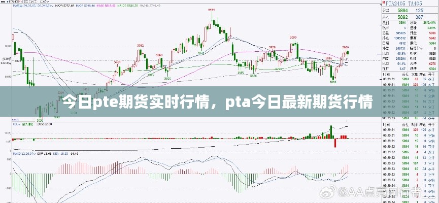 今日pte期货实时行情，pta今日最新期货行情 