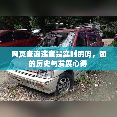 网页查询违章是实时的吗，团的历史与发展心得 