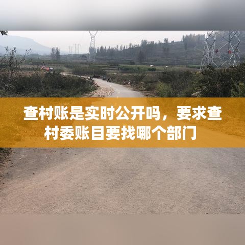 查村账是实时公开吗，要求查村委账目要找哪个部门 
