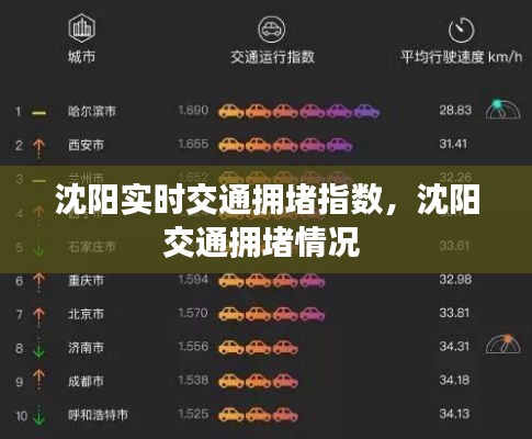 沈阳实时交通拥堵指数，沈阳交通拥堵情况 