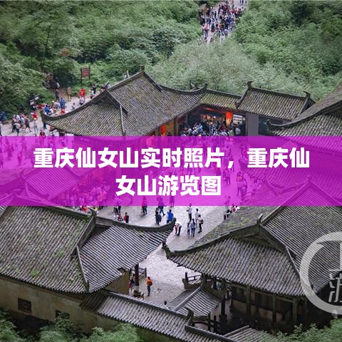 重庆仙女山实时照片，重庆仙女山游览图 