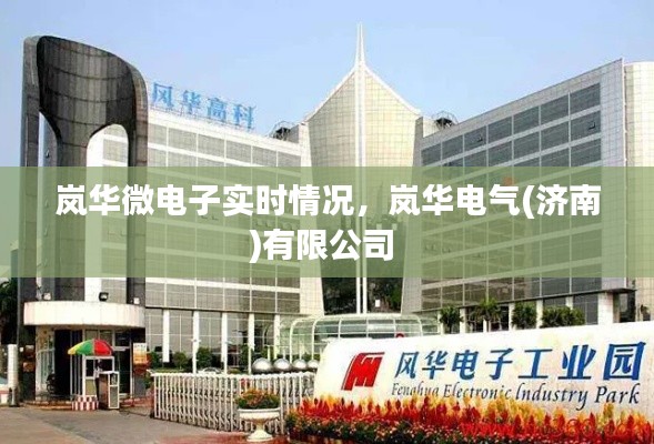 岚华微电子实时情况，岚华电气(济南)有限公司 