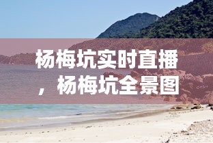 杨梅坑实时直播，杨梅坑全景图 