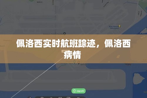 佩洛西实时航班踪迹，佩洛西病情 