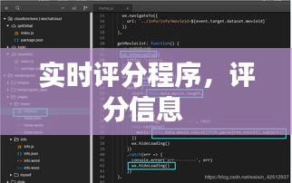 实时评分程序，评分信息 