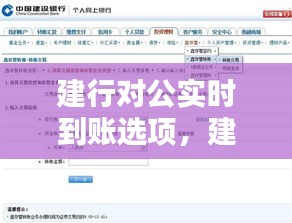 建行对公实时到账选项，建行对公账户转账到账时间 