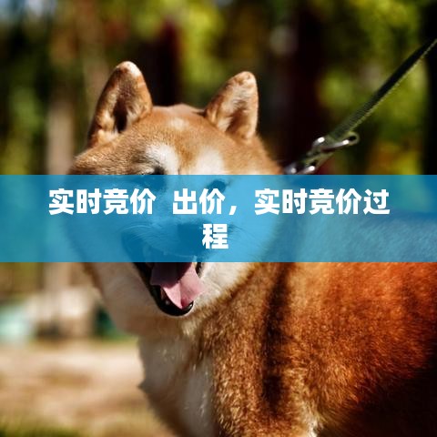 实时竞价  出价，实时竞价过程 
