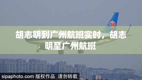胡志明到广州航班实时，胡志明至广州航班 