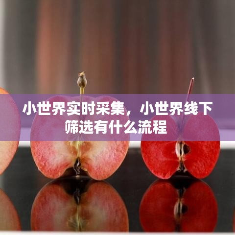小世界实时采集，小世界线下筛选有什么流程 
