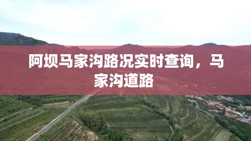 阿坝马家沟路况实时查询，马家沟道路 