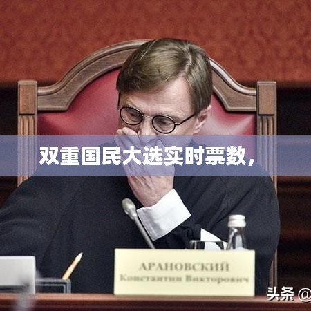 双重国民大选实时票数， 