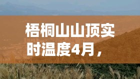 梧桐山山顶实时温度4月， 