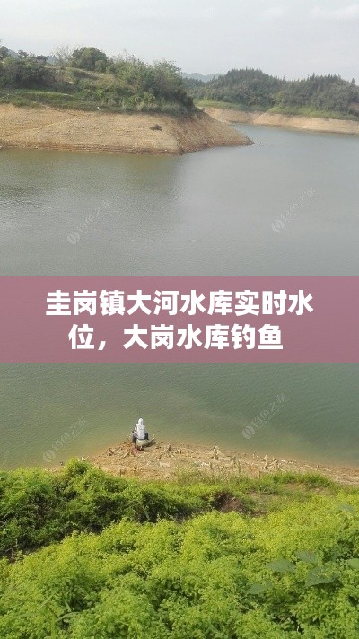 圭岗镇大河水库实时水位，大岗水库钓鱼 