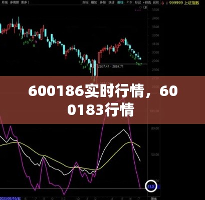 600186实时行情，600183行情 